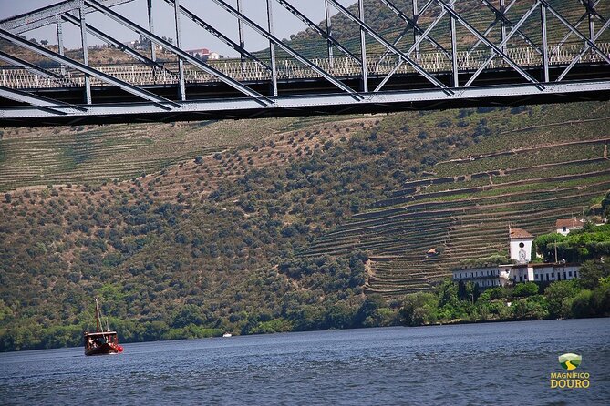 1-Hour Rabelo Boat Trip in Pinhão - Pinhao Rabelo boat cruise basics: how the hour actually feels