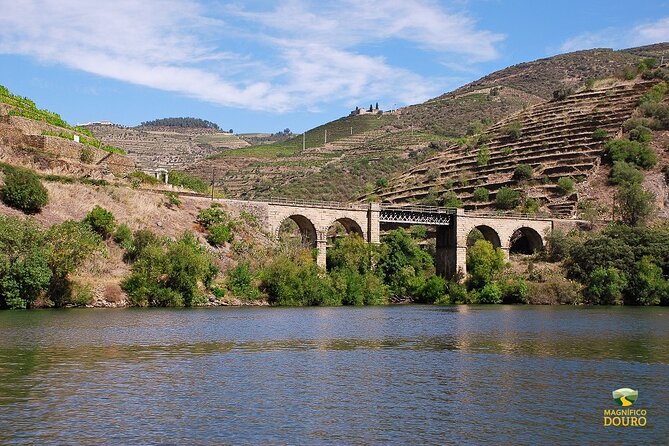 1-Hour Rabelo Boat Trip in Pinhão - The sailing route: Pinhão, the Eiffel iron bridge, and the Roncão stretch