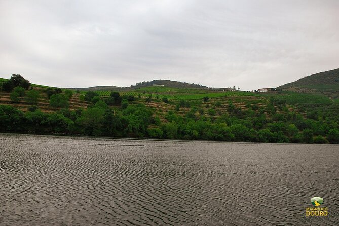 1-Hour Rabelo Boat Trip in Pinhão - Why the UNESCO setting matters on a boat, not a bus