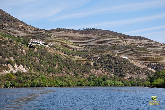 1-Hour Rabelo Boat Trip in Pinhão - The audio plan: English commentary via the Magnifico Douro app