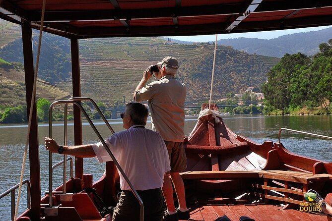 1-Hour Rabelo Boat Trip in Pinhão - The best time to go: calm cruises and when early helps