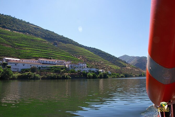 1-Hour Rabelo Boat Trip in Pinhão - Price and value: is $18 for one hour a good deal?