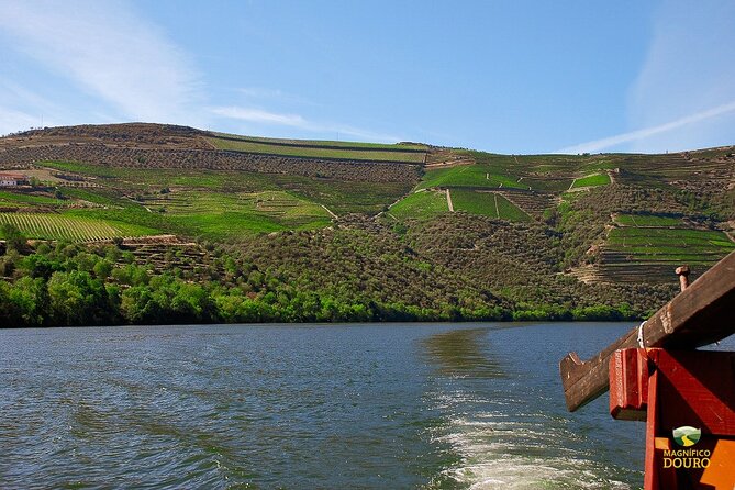 1-Hour Rabelo Boat Trip in Pinhão - Getting to the dock at Cais C in Pinhão (and what to do when you arrive)