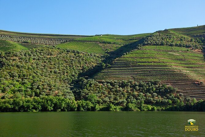 2-hour Rabelo Boat tour in Pinhão - The loop route: Eiffel bridge, then Roncão, then back again