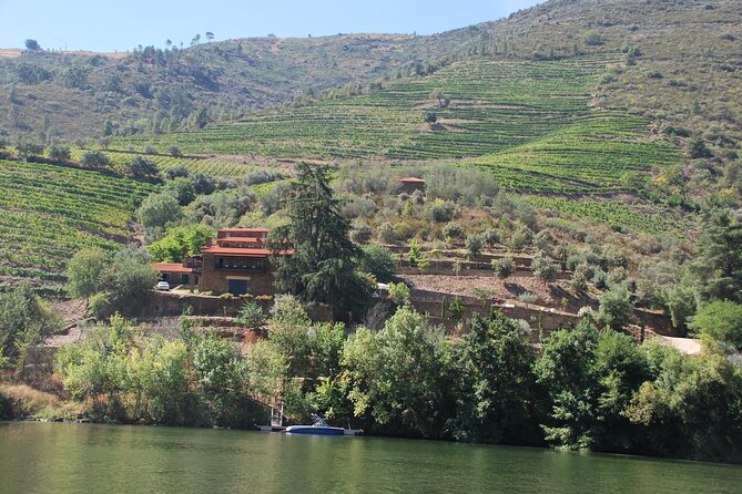 2-hour Rabelo Boat tour in Pinhão - Weather layers, drinks, and the little stuff that changes the mood