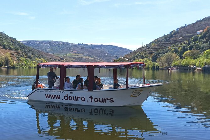 3-Hour Tour to Discover Pinhão - Moment of Discovery - Pinhão in Three Hours: Why This Works