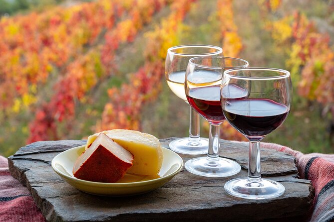 3-Hour Tour to Discover Pinhão - Moment of Discovery - The Douro River Boat Cruise: 50 Minutes of Views and Stories