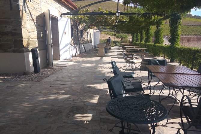 3-Hour Tour to Discover Pinhão - Moment of Discovery - Quinta Time in Pinhão: Farm Visit and 3 Wine Tastings