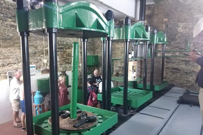 3-Hour Tour to Discover Pinhão - Moment of Discovery - What to Do About Lunch and Timing