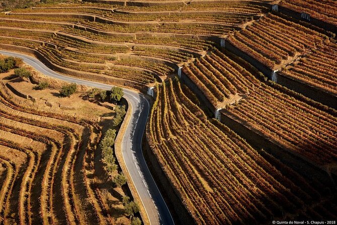 4×4 Douro Wine Tasting Private Tour - Why This Douro Day Feels Like More Than a Wine Stop