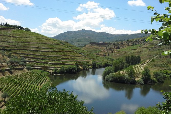 Authentic Douro Valley - small-Group Tour (Max 7) - Stop 1 in Porto: Orientation Before You Hit the Terraces