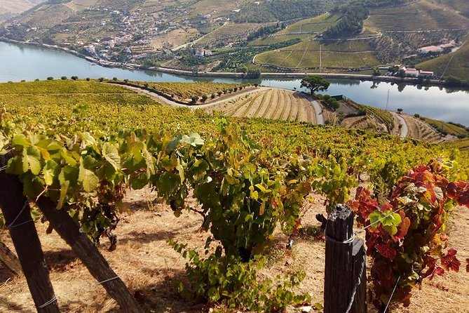 Authentic Douro Valley - small-Group Tour (Max 7) - Pinhão Village Stop: A Drink, a Little Culture, a Lot of Character