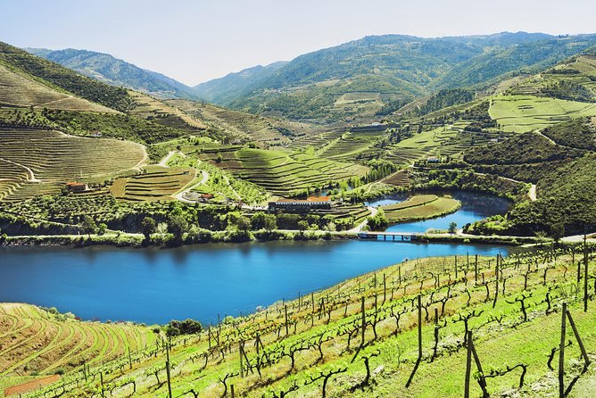 Authentic Small Group Douro Wine Tour with Lunch & River Cruise - From Porto pickup to the N222 road views