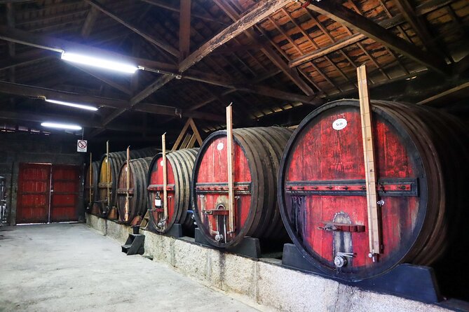 Authentic Small Group Douro Wine Tour with Lunch & River Cruise - Douro Valley views: photo stops and the river towns connection