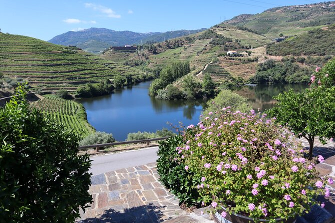 Authentic Small Group Douro Wine Tour with Lunch & River Cruise - Quinta do Beijo-style second winery: small estate vibes