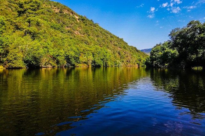 Best of Douro Valley Wine Full Day Private Tour - Key highlights worth your attention