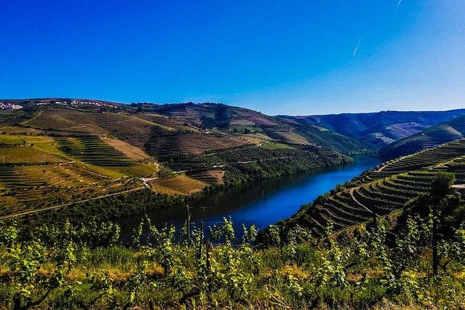 Best of Douro Valley Wine Full Day Private Tour - A private Douro day from Porto, guided by Bruno