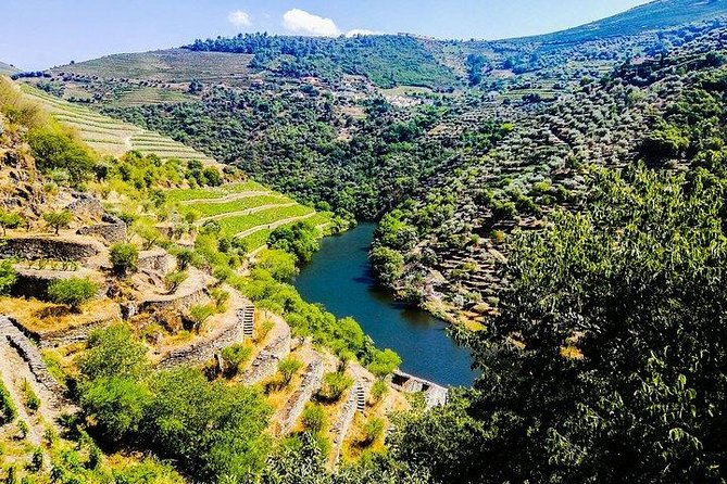 Best of Douro Valley Wine Full Day Private Tour - Peso da Régua winery tasting for Top Port and dry wines