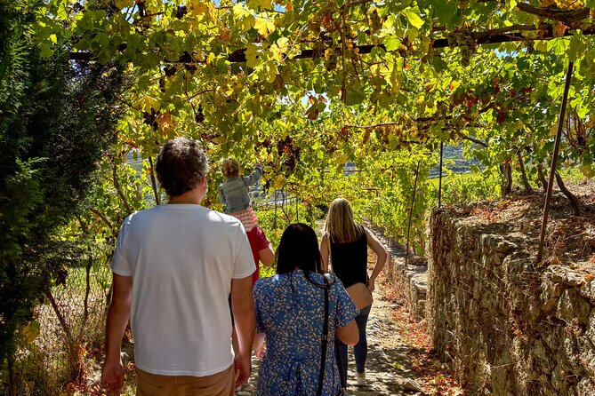 Best of the Douro in a Day: Boat, Wine and Family Lunch - Key highlights you will feel in the moment