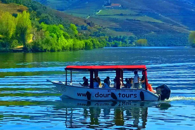 Boat tour 50min through the river Douro in Pinhão - Pinhão Pier Basics: Meeting Point, Timing, and Finding the Boat