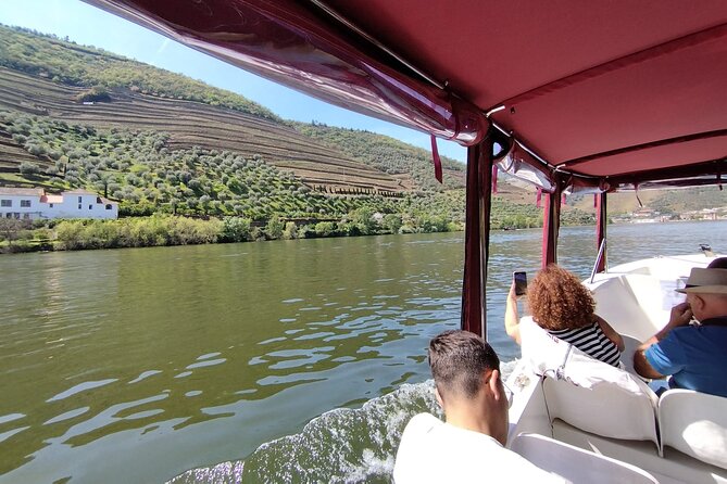 Boat tour 50min through the river Douro in Pinhão - Port Wine Cup Included: How the Tasting Works