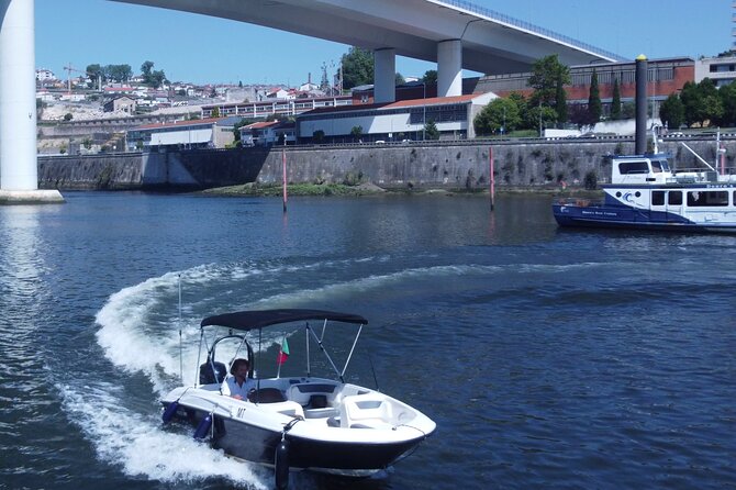 Boat Trip in Douro Porto - Timing, weather, and what to bring for a short cruise