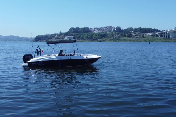 Boat Trip in Douro Porto - Marina do Freixo: where you start, what the small boat experience feels like