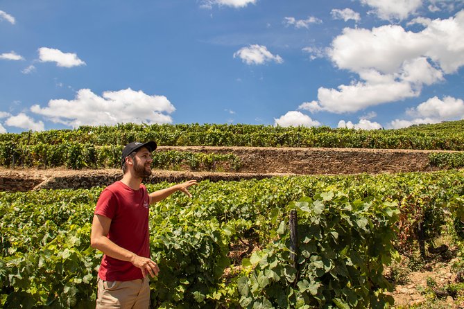 Complete Douro Valley Wine Tour with Lunch, Wine Tastings and River Cruise - Key highlights worth your attention