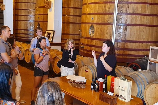 Complete Douro Valley Wine Tour with Lunch, Wine Tastings and River Cruise - Sabrosa winery visit: production stories, port tastings, and lunch