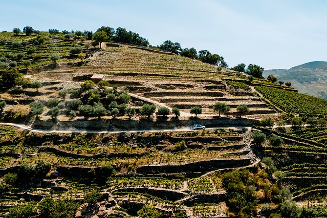 Douro Adventure - Tour 4x4 | Full Day Private Tour | All Included - Winery lunch with drinks and tastings: where the value shows