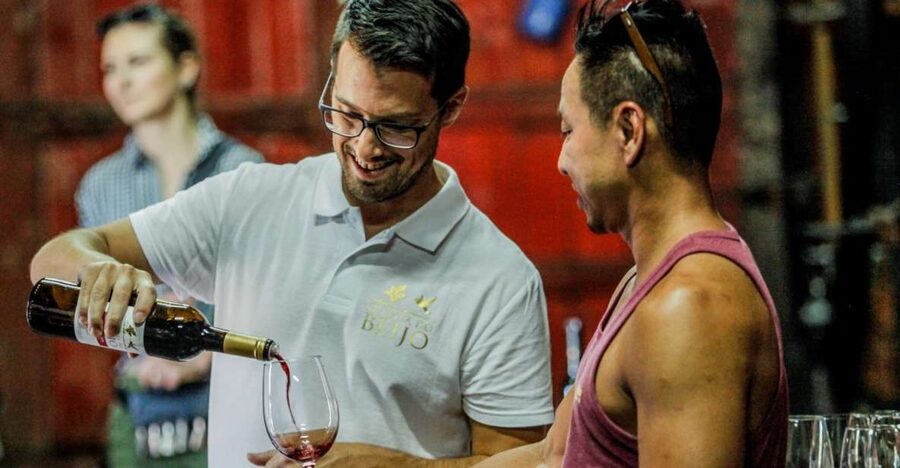 Douro: Classic Wine Tasting with Guided Tour - Centennial cellars: where traditional and modern vinification clicks