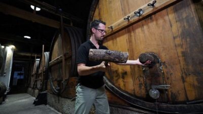 Douro: Classic Wine Tasting with Guided Tour