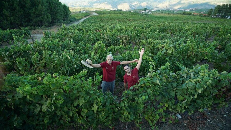 Douro: Classic Wine Tasting with Guided Tour - Language and comfort: Portuguese or English guidance