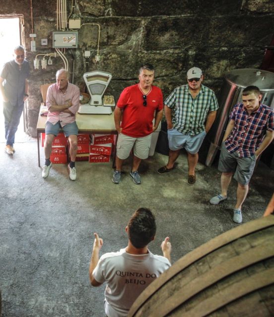 Douro: Classic Wine Tasting with Guided Tour - Who should book this Douro Classic, and who should skip it