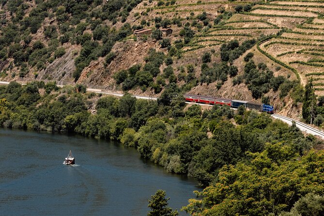 Douro Experience - Boat and Train Ride - Lunch and Wine Tasting - All Included - Wine, Honey, and Olive Oil: How the Tasting Part Works