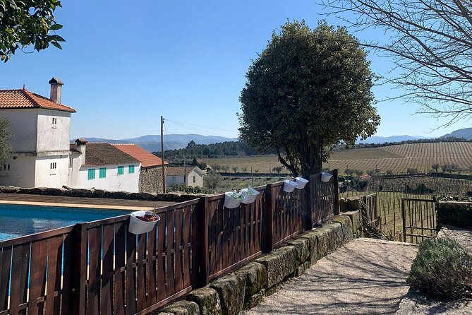 Douro Full Day Tour with Wine Tasting and Lunch - Why this Douro day works: tasting first, then the river view