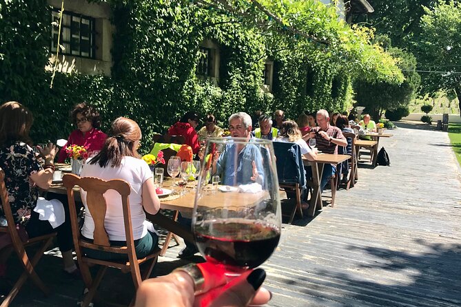 Douro: luxury walking tour with lunch at Quinta da Pacheca - Where Quinta da Pacheca fits into a luxury Douro day