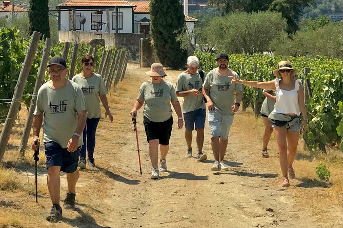 Douro: luxury walking tour with lunch at Quinta da Pacheca - Price and value of a $301 luxury private experience