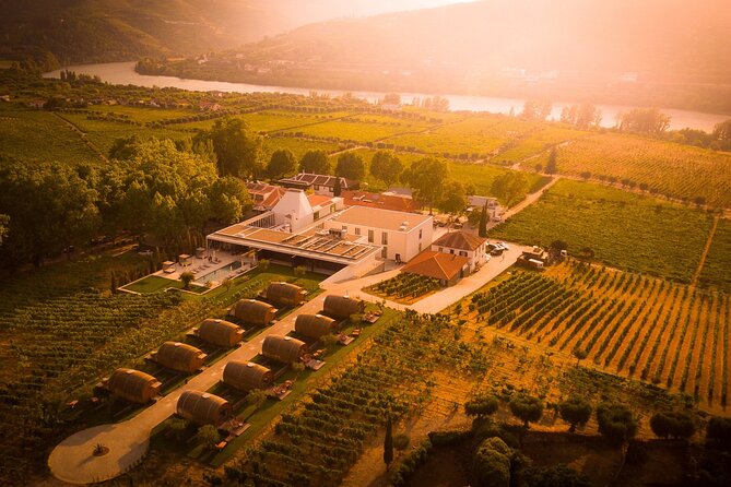 Douro: luxury walking tour with lunch at Quinta da Pacheca - Who should book this Douro luxury walking tour