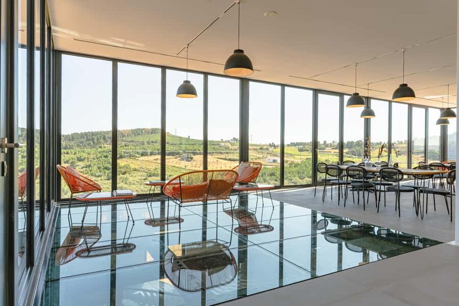 Douro: Martha's Cellar - Visit and Tawny Tasting - Where Martha’s Cellar fits in the Douro, and why the 360 format works
