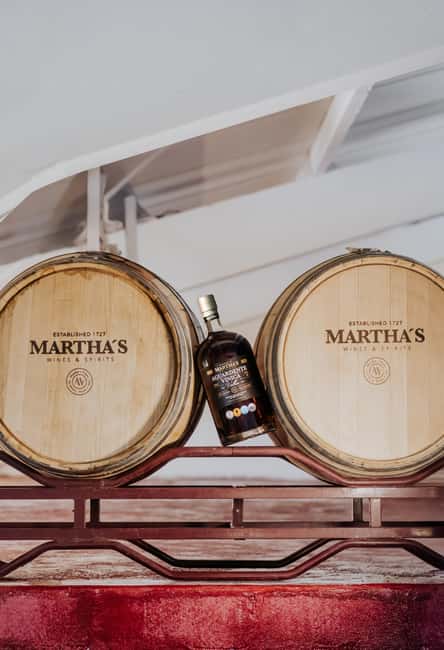 Douro: Martha's Cellar - Visit and Tawny Tasting - The panoramic window over the Douro plateau, and what you learn from it