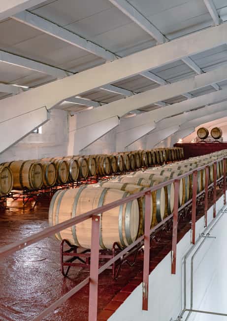 Douro: Martha's Cellar - Visit and Tawny Tasting - Martha’s Spritz welcome and the family timeline from 1727
