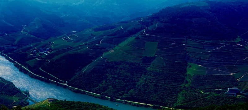 DOURO PREMIUM - Why the Douro Valley day feels like a full story