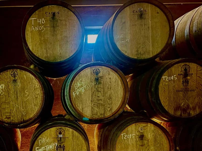 DOURO PREMIUM - Value for $206: what you’re paying for (and what you actually get)