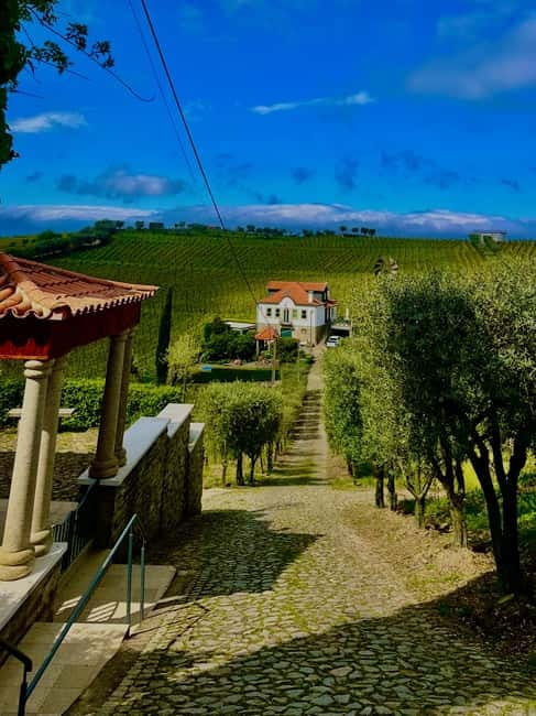 DOURO PREMIUM - Should you book Douro Premium?