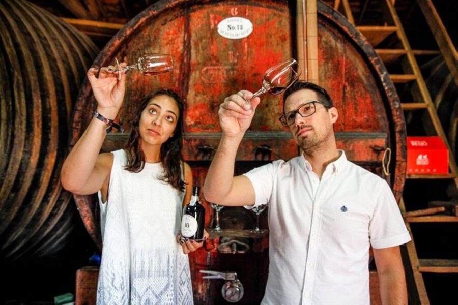 Douro: Premium Wine Tasting and Tapas Tour - Key highlights that make this tour worth your time