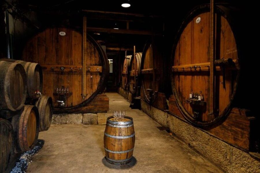 Douro: Premium Wine Tasting and Tapas Tour - Who should book this Douro gourmet tasting, and who might skip it