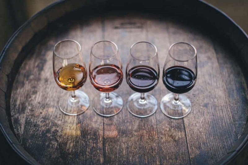 Douro Private Tour – Customizable Experience - Wine tasting add-ons: family estates vs premium quintas