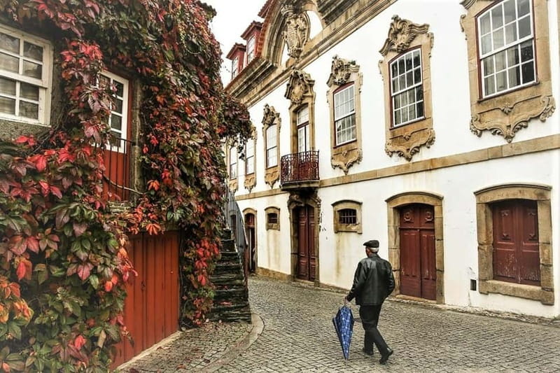 Douro Private Tour – Customizable Experience - Lunch choices that can change the whole day