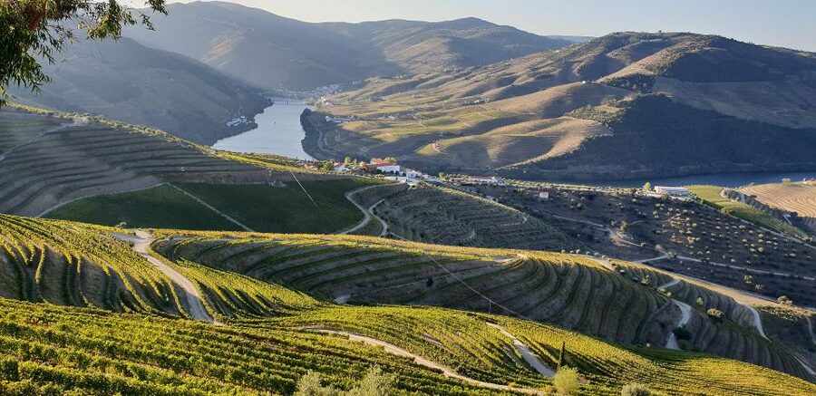 Douro Private Tour – Customizable Experience - How the 9-hour schedule usually feels, stop by stop